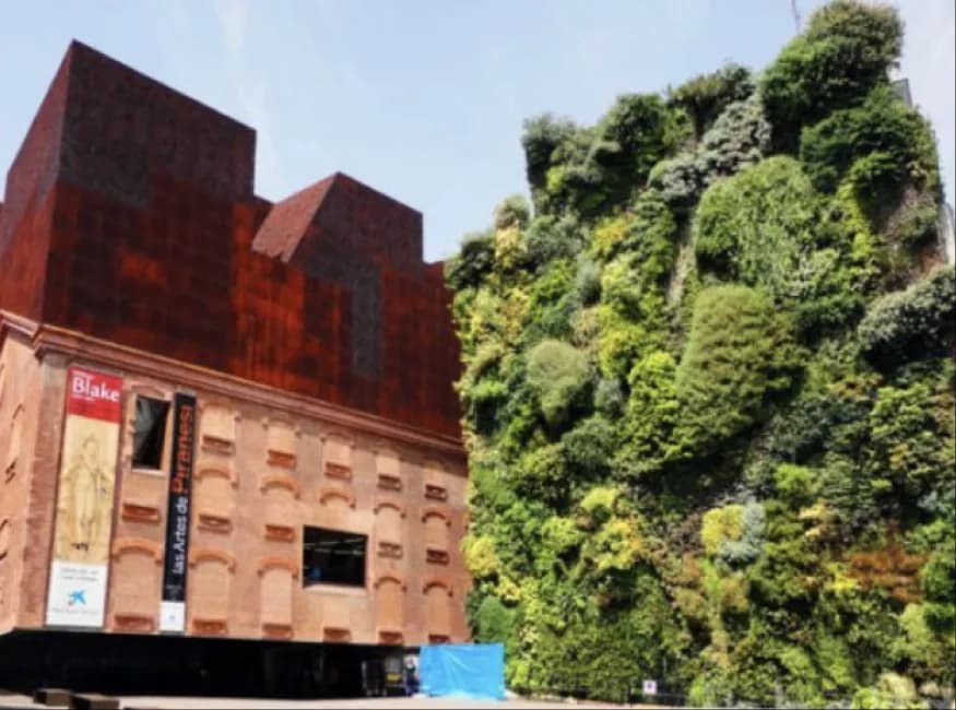 The CaixaForum living wall in Madrid, a dense vertical garden on a building facade