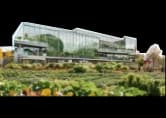 Wider Urban Environment — a green building with a living wall